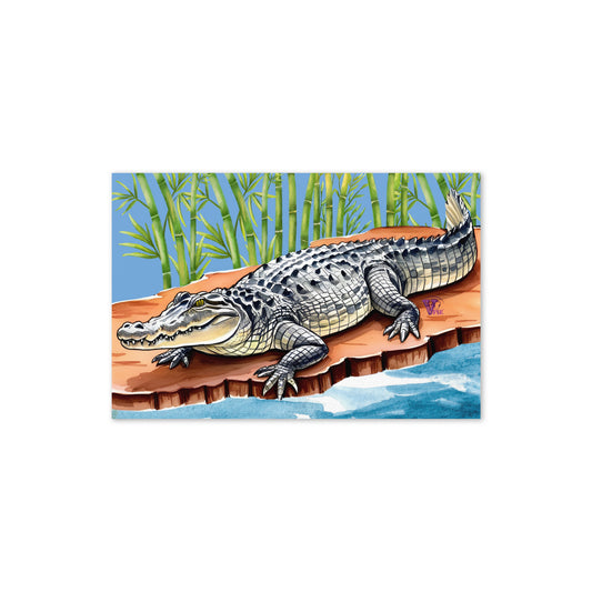 EVERGLADES 