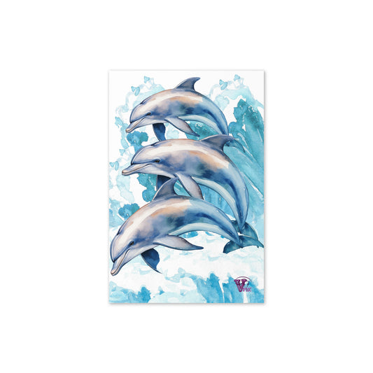 dolphin card